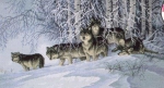 Волки в зимнем лесу 35009